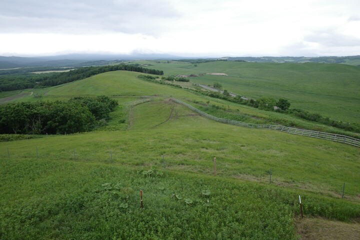 R0003512_R