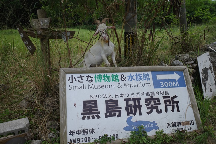 R0004220_R