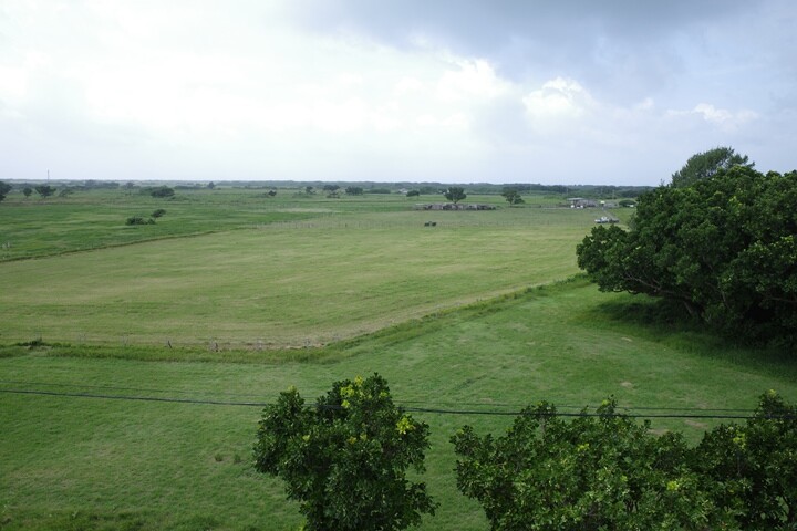 R0004115_R