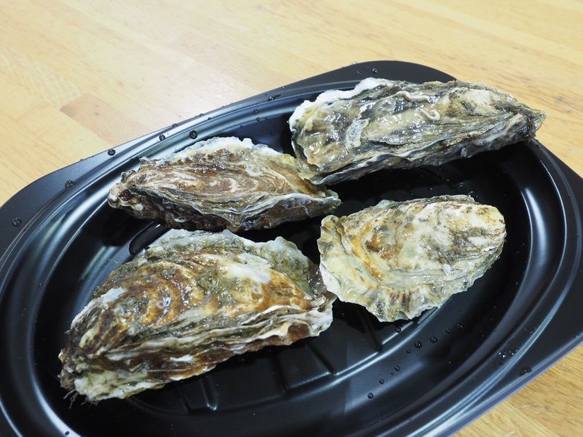 15 北海道の旅 第13話 厚岸でカキを食す aウロコ 厚岸町 酔う よう さんの酔酔どうでしょう 15 北海道の旅 第13話 厚岸でカキを食す aウロコ 厚岸町 酔う よう さんの酔酔どうでしょう