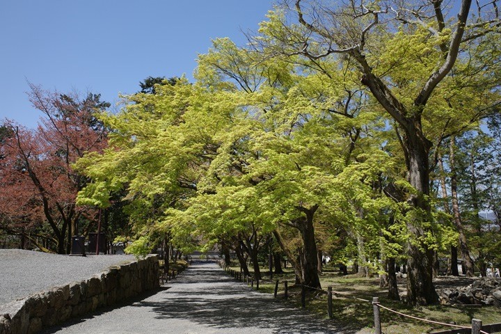 R0000527_R