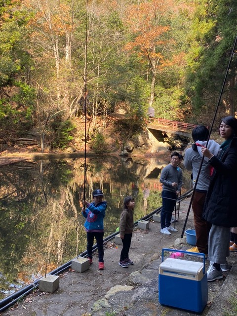 29503275.2b984bddf95b67f34f4d3dd486a5e342.19121505