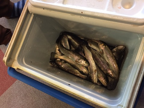 29503275.305145050c7ffa65ef85b4906f15f7ce.19121413