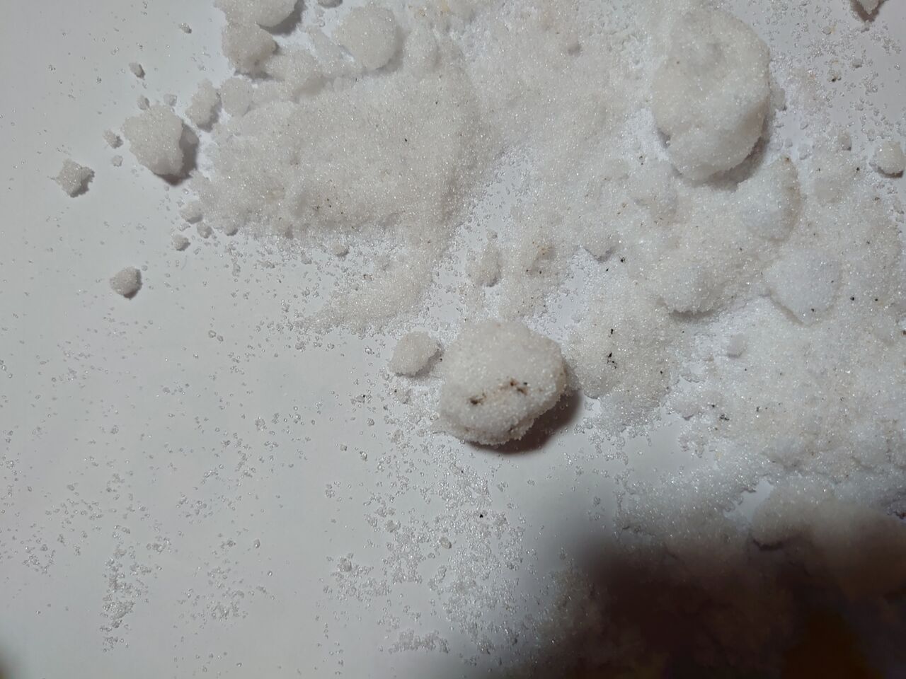 防虫剤の入れ替え ごへいどんとおくさまの日々