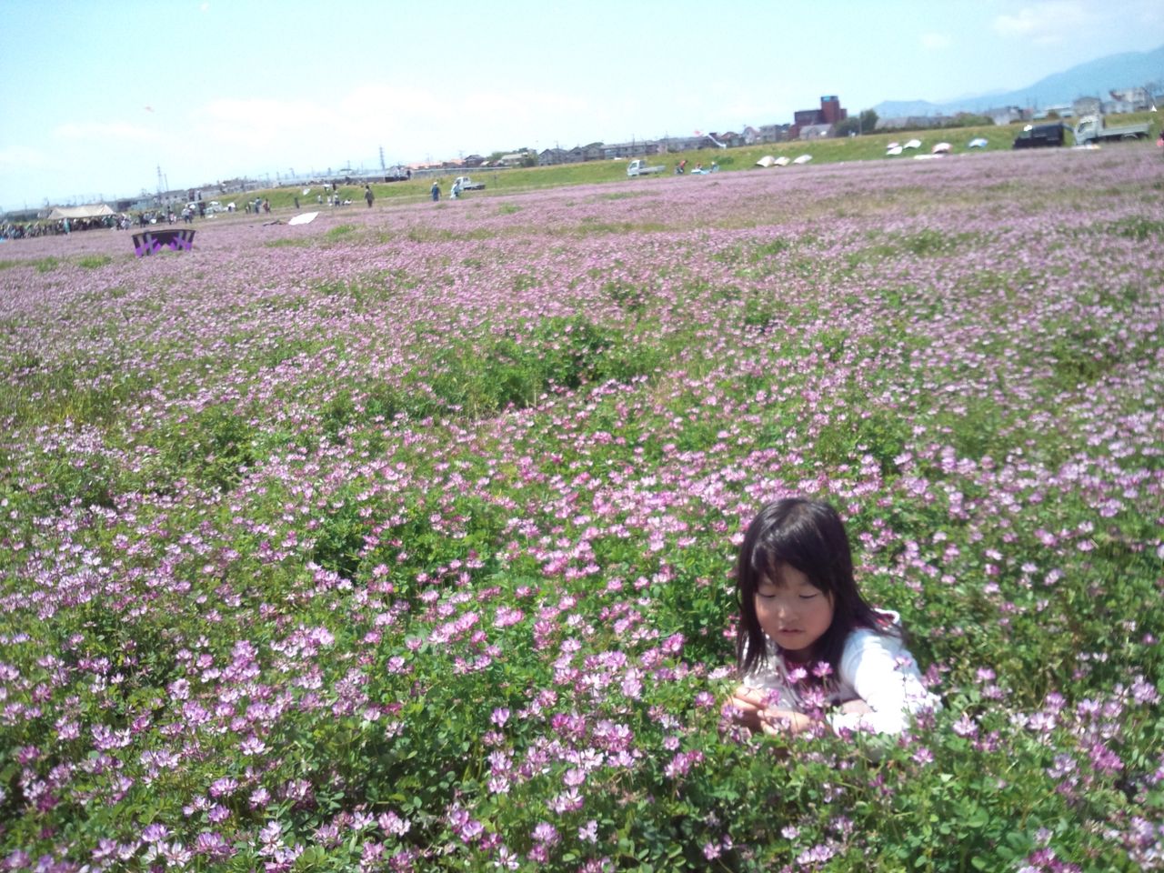レンゲの蜜の味 スジャータのおかーさん日記