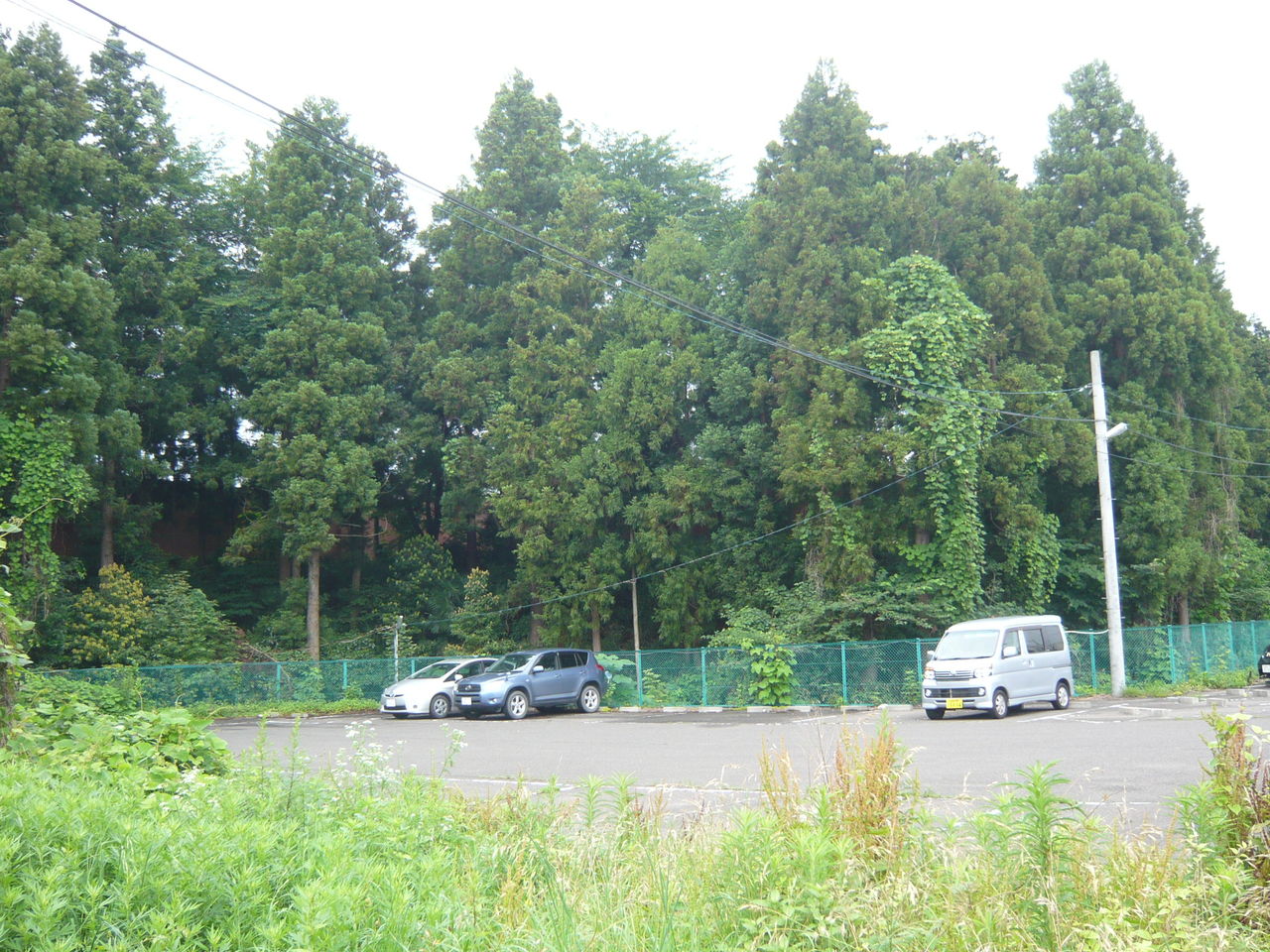 城とか陵墓とか                スジン