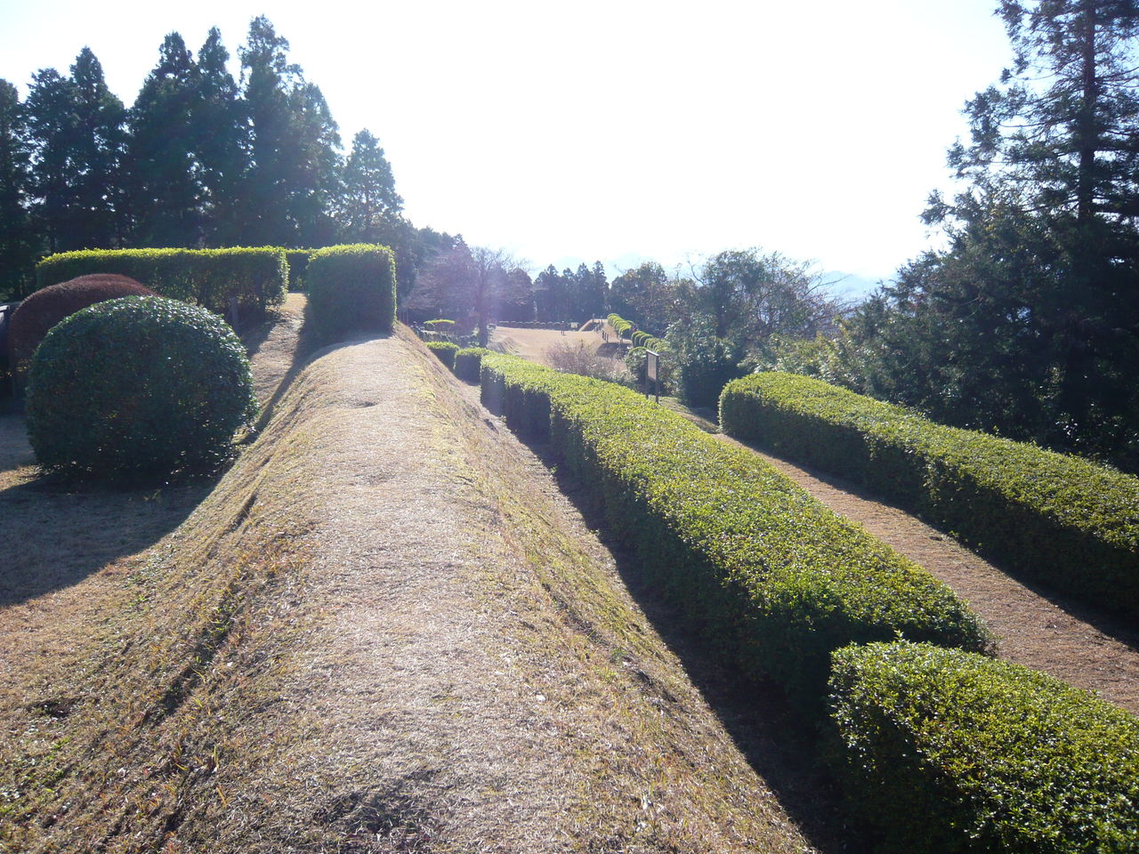山中城 城とか陵墓とか