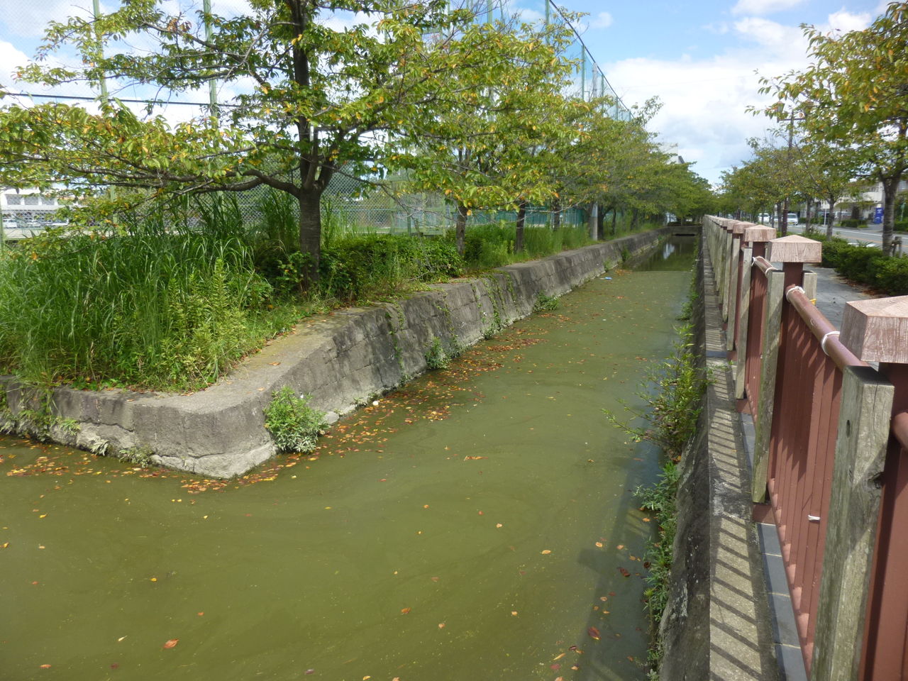 柳川城 城とか陵墓とか 柳川城 城とか陵墓とか