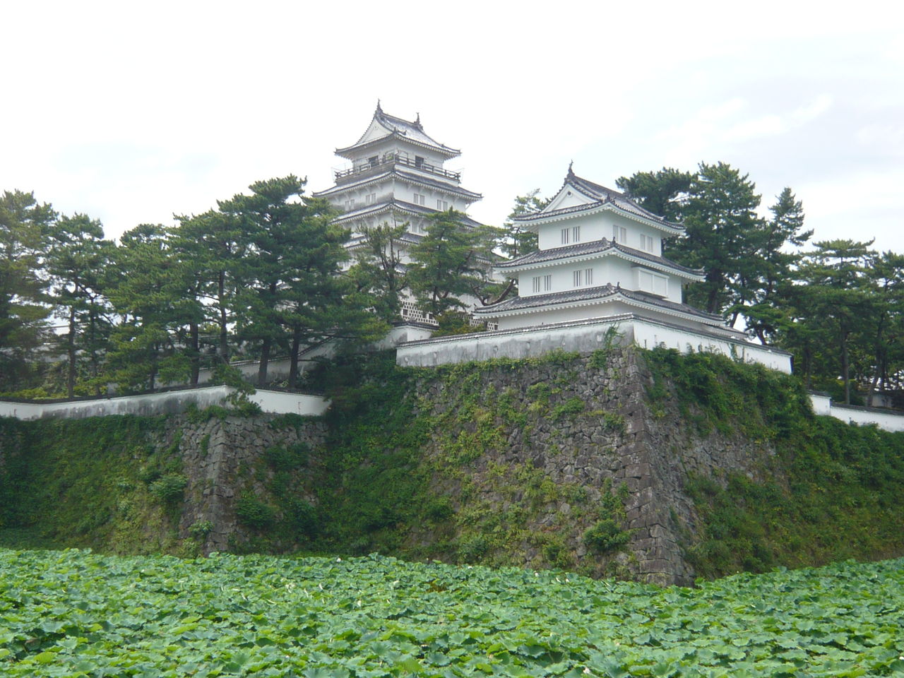 島原城 城とか陵墓とか