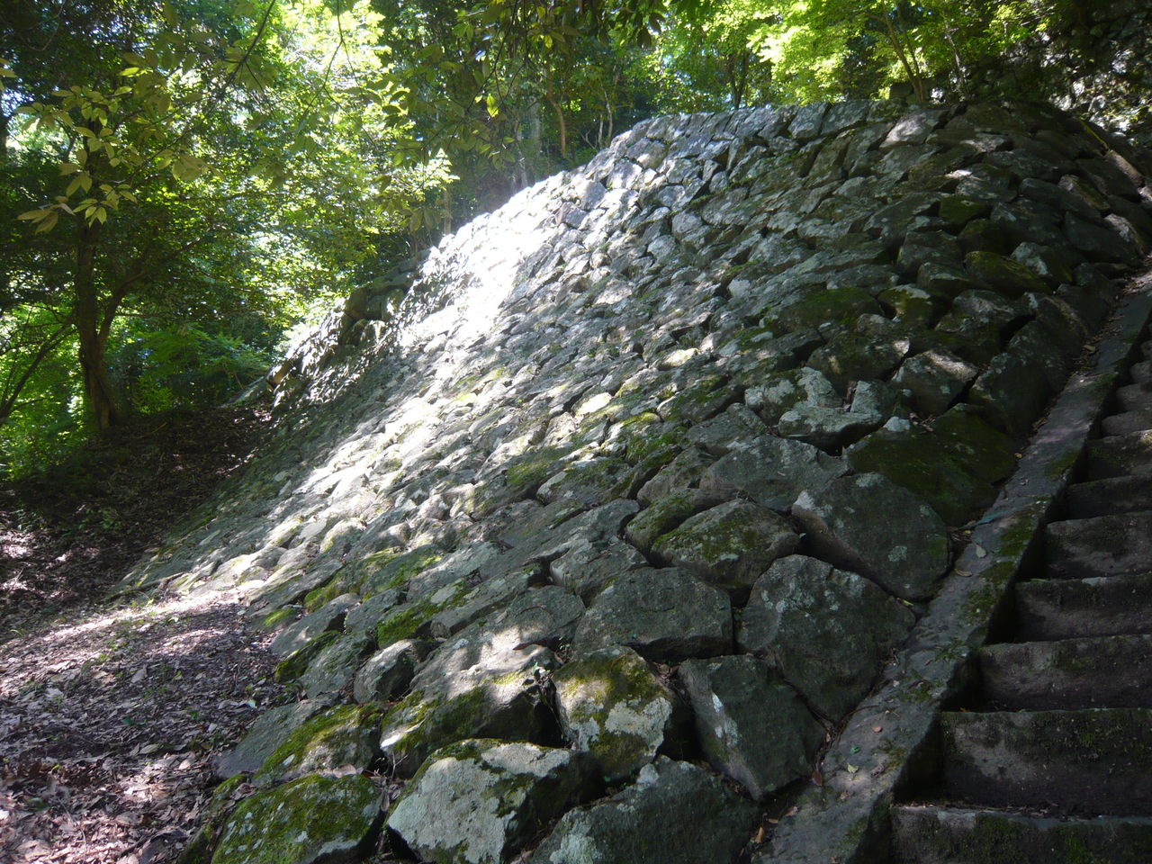 陣の森城