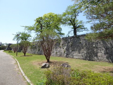 P1420133