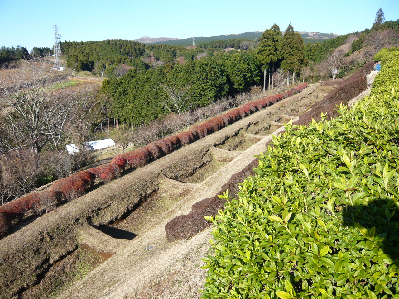 山中城 城とか陵墓とか