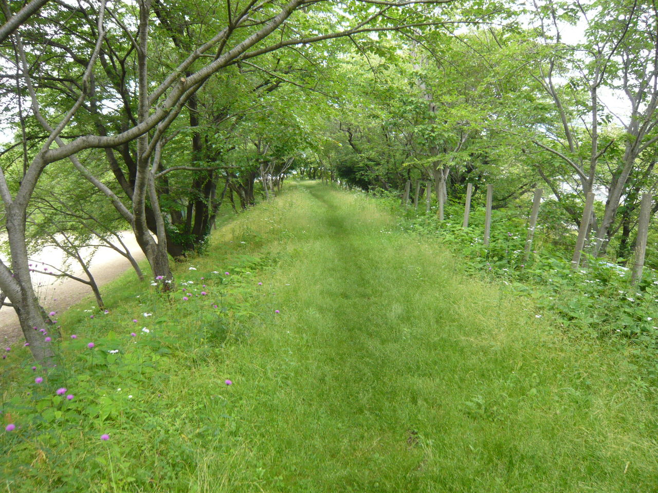 黒野城 城とか陵墓とか 黒野城 城とか陵墓とか