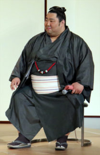 平幕優勝力士のその後１