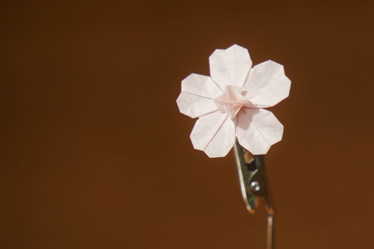 正規品質保証 和紙と折紙で作る桜 さくらシリーズ 和紙で作る 卓上飾り Shipsctc Org