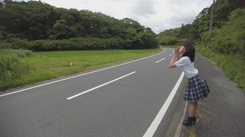サンプル画像5