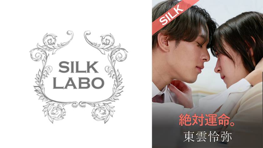 絶対運命。 藤井レイラ