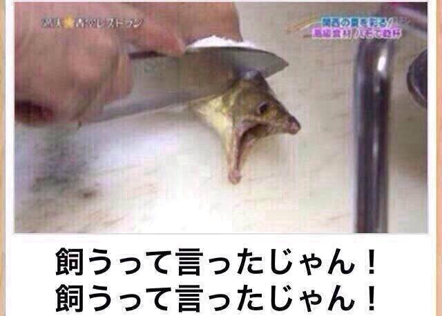 最速 超おもしろ画像 腹筋 注意 最速 超おもしろ画像 腹筋 注意