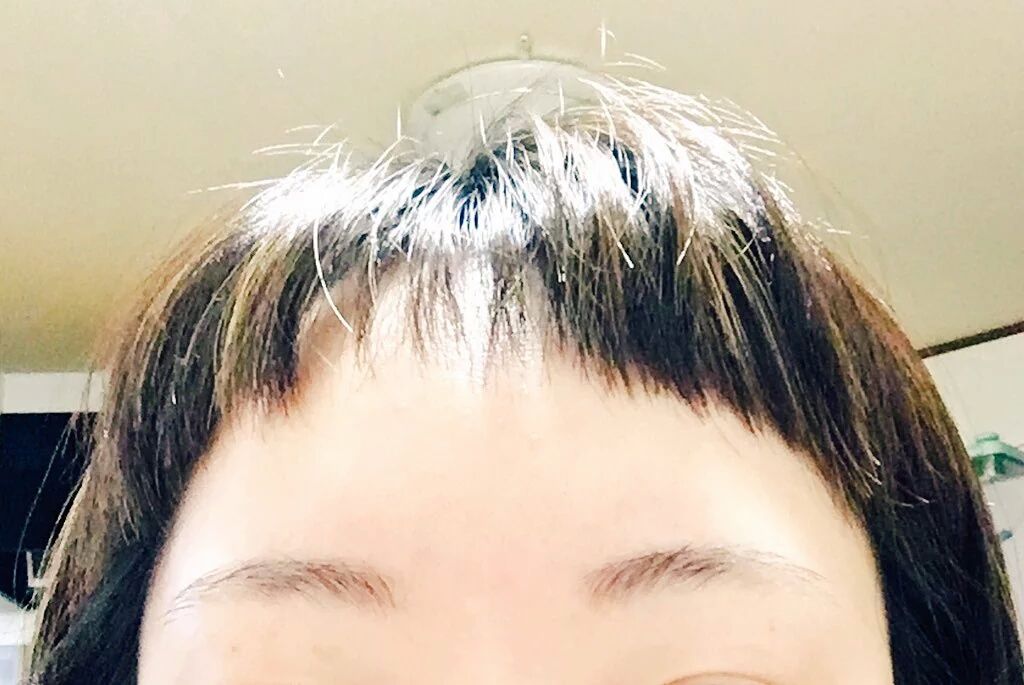 トッモ おっワイ髪切ったんか 近くのあの床屋の千円カットか 美容室で四千円で切ったワイ Jのログ おんjまとめブログ トッモ おっワイ髪切ったんか 近くのあの床屋の千円カットか 美容室で四千円で切ったワイ Jのログ おんjまとめブログ