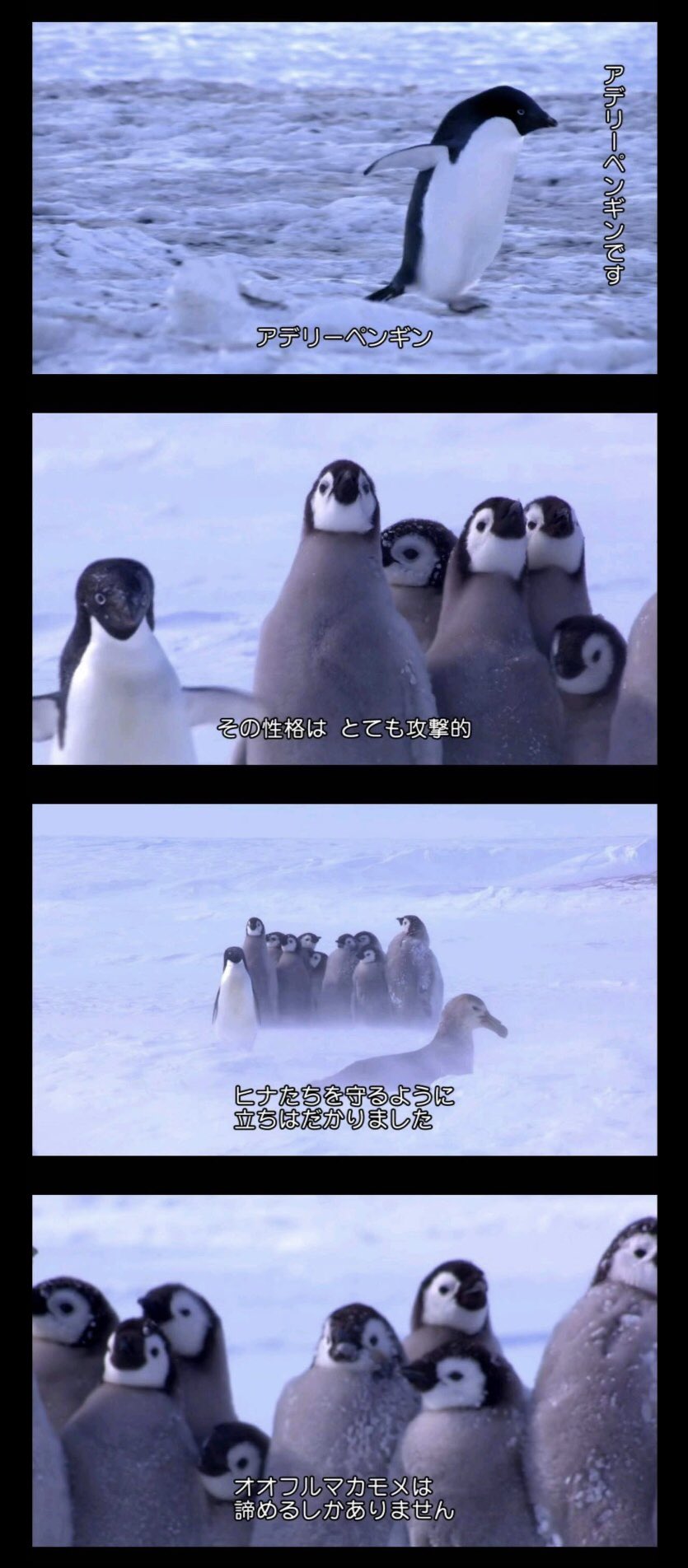 画ッ像 ドン引きーヌ 見つかる Jのログ おんjまとめブログ 画ッ像 ドン引きーヌ 見つかる Jのログ おんjまとめブログ