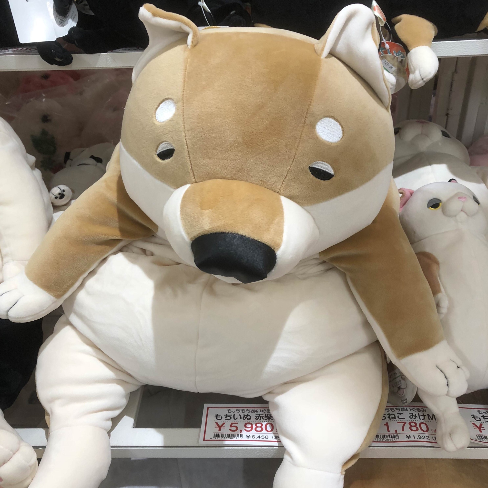 朗報 ガイジーヌ ぬいぐるみになってしまう Jのログ おんjまとめブログ