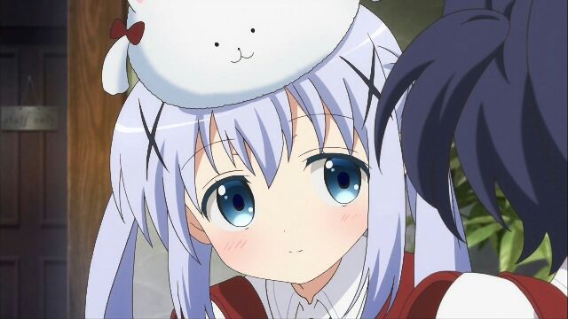 です うるさい チノ ね ちゃん