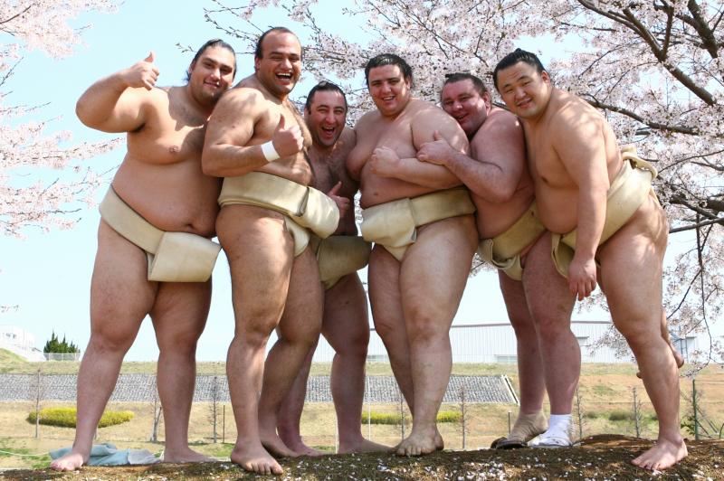 力士のかわいい画像が集まるスレ Jのログ おんjまとめブログ 力士のかわいい画像が集まるスレ Jのログ おんjまとめブログ