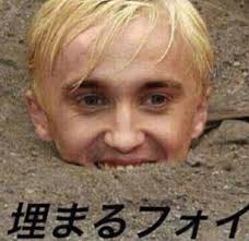 ダウンロード