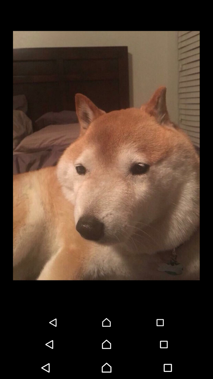 ガイジーヌをスクショしてまたさらにスクショして繰り返していくンゴ Jのログ おんjまとめブログ