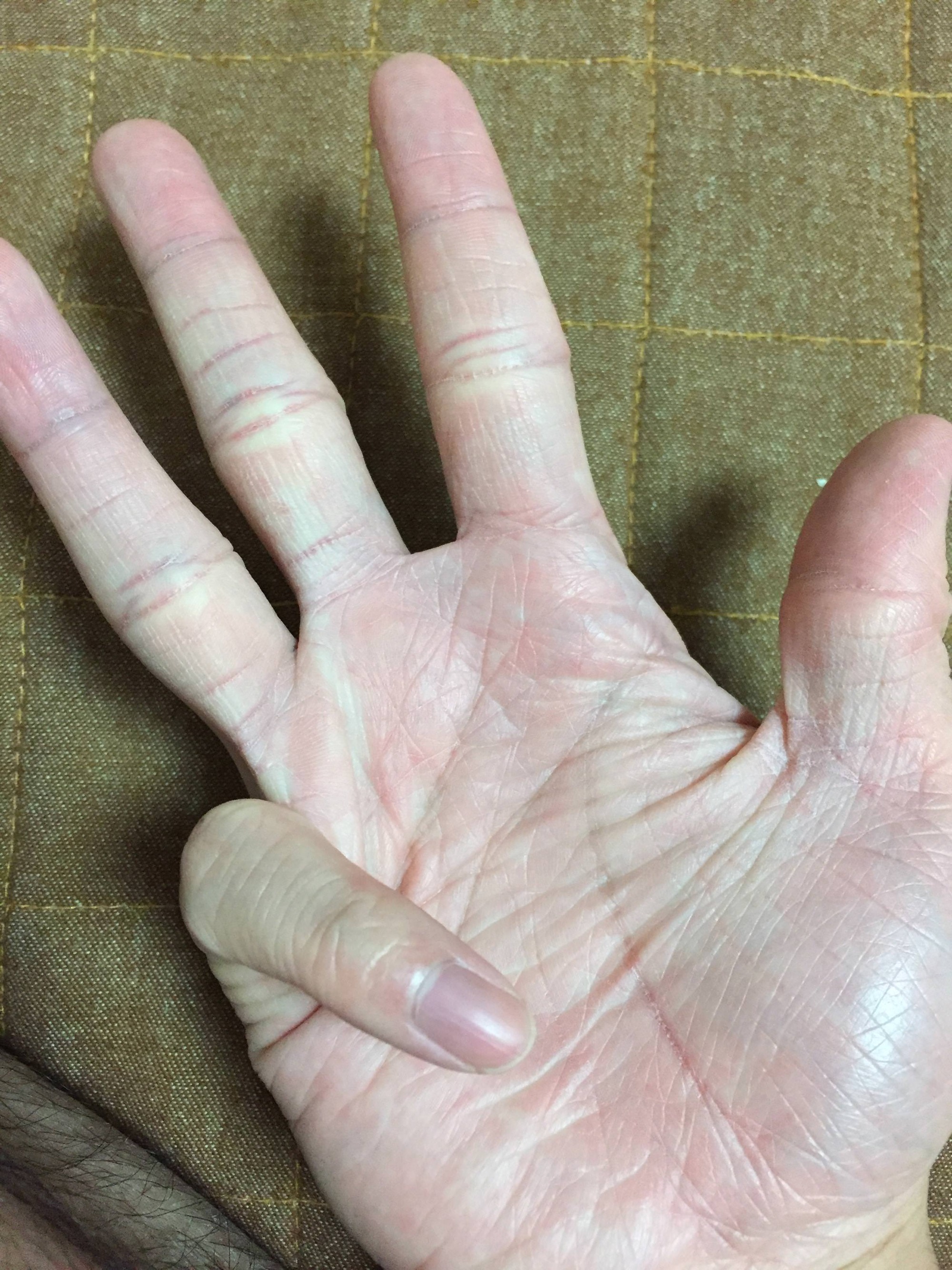 コナンくん 数を数える時の指の立て方が人間業じゃない Jのログ おんjまとめブログ コナンくん 数を数える時の指の立て方が人間業じゃない Jのログ おんjまとめブログ