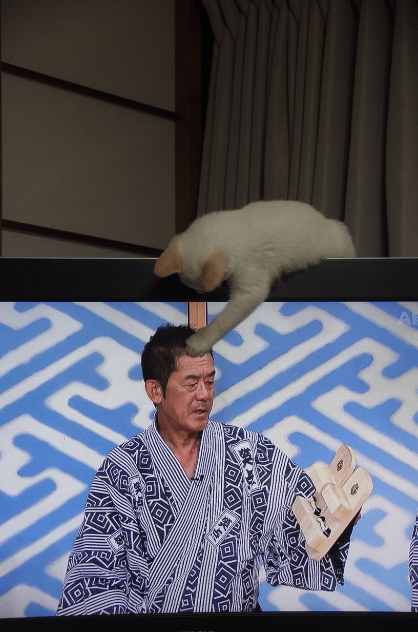 no title