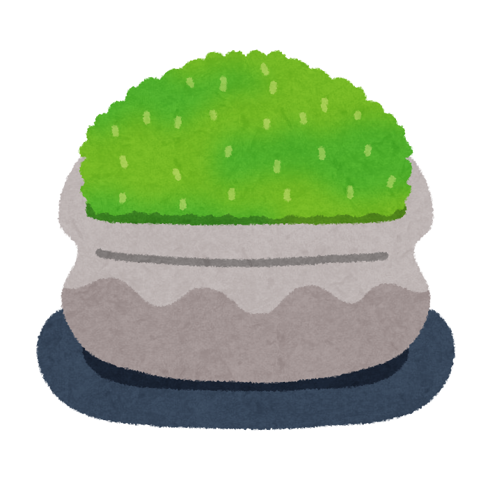 bonsai_koke