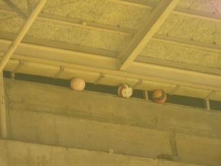 体育館の天井に挟まったボールで打線組んだ Jのログ おんjまとめブログ 体育館の天井に挟まったボールで打線組んだ Jのログ おんjまとめブログ