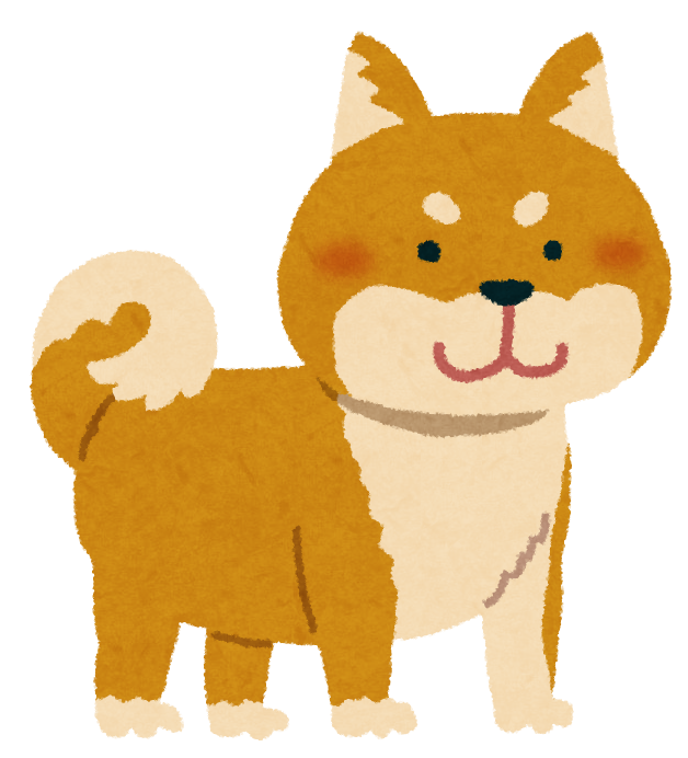 shibainu_brown