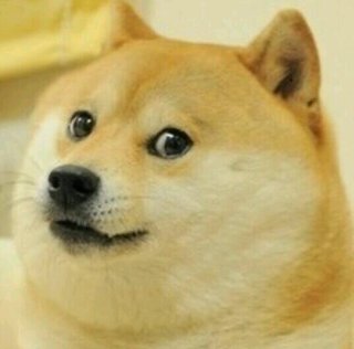 柴犬がかわいいという風潮wwwwwwwwwwwwwwww Jのログ おんjまとめブログ 柴犬がかわいいという風潮wwwwwwwwwwwwwwww Jのログ おんjまとめブログ