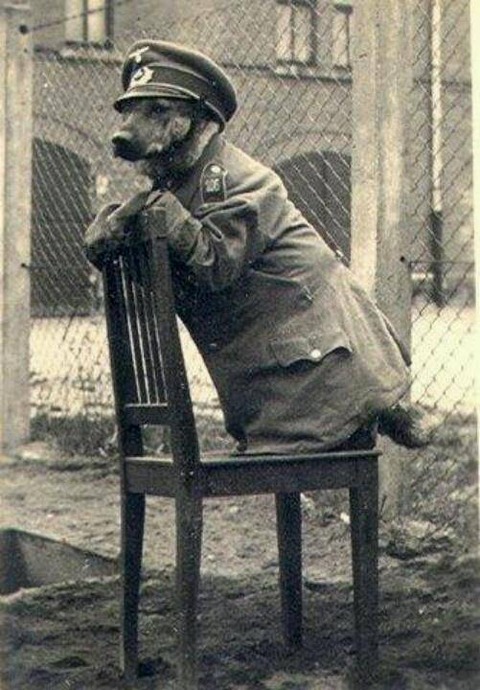 かっこいい軍服の画像が集まるスレ Jのログ おんjまとめブログ かっこいい軍服の画像が集まるスレ Jのログ おんjまとめブログ