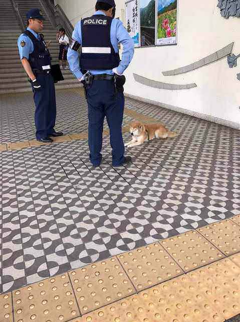 画像 駅で警官に囲まれてるやべぇ奴いたwww Jのログ おんjまとめブログ 画像 駅で警官に囲まれてるやべぇ奴いたwww Jのログ おんjまとめブログ