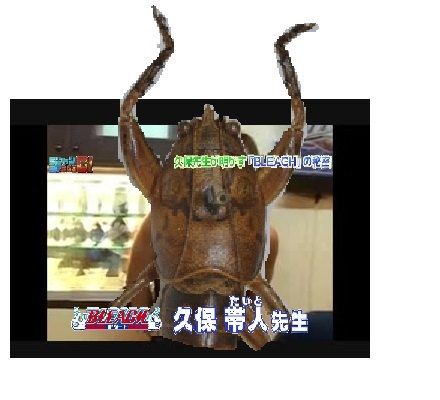 朗報 Kbtit型のキリギリスが発見される Jのログ おんjまとめブログ