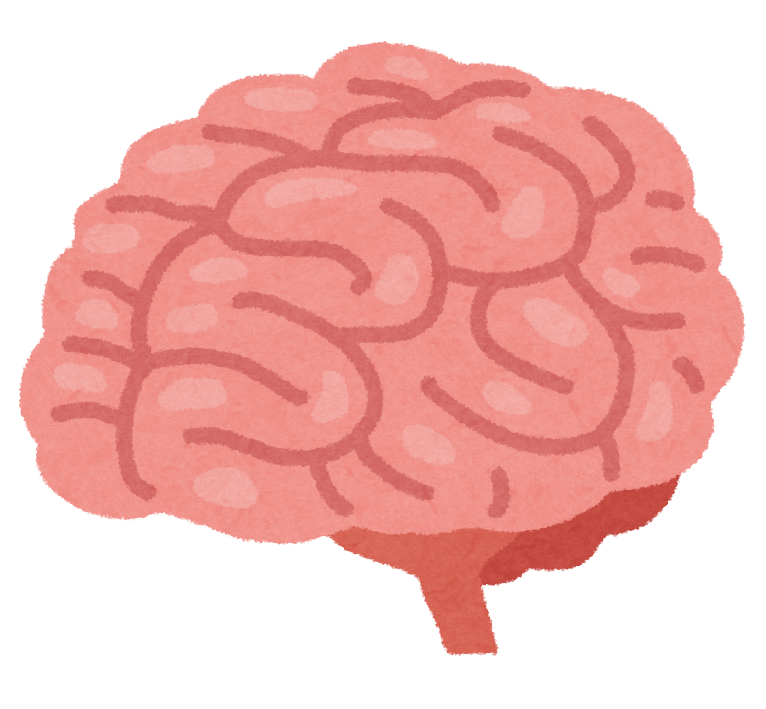 body_brain_nou (9)