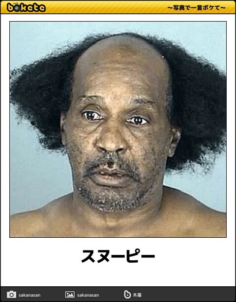 あんまり有名じゃないけど個人的に好きなボケて貼ってく Jのログ おんjまとめブログ