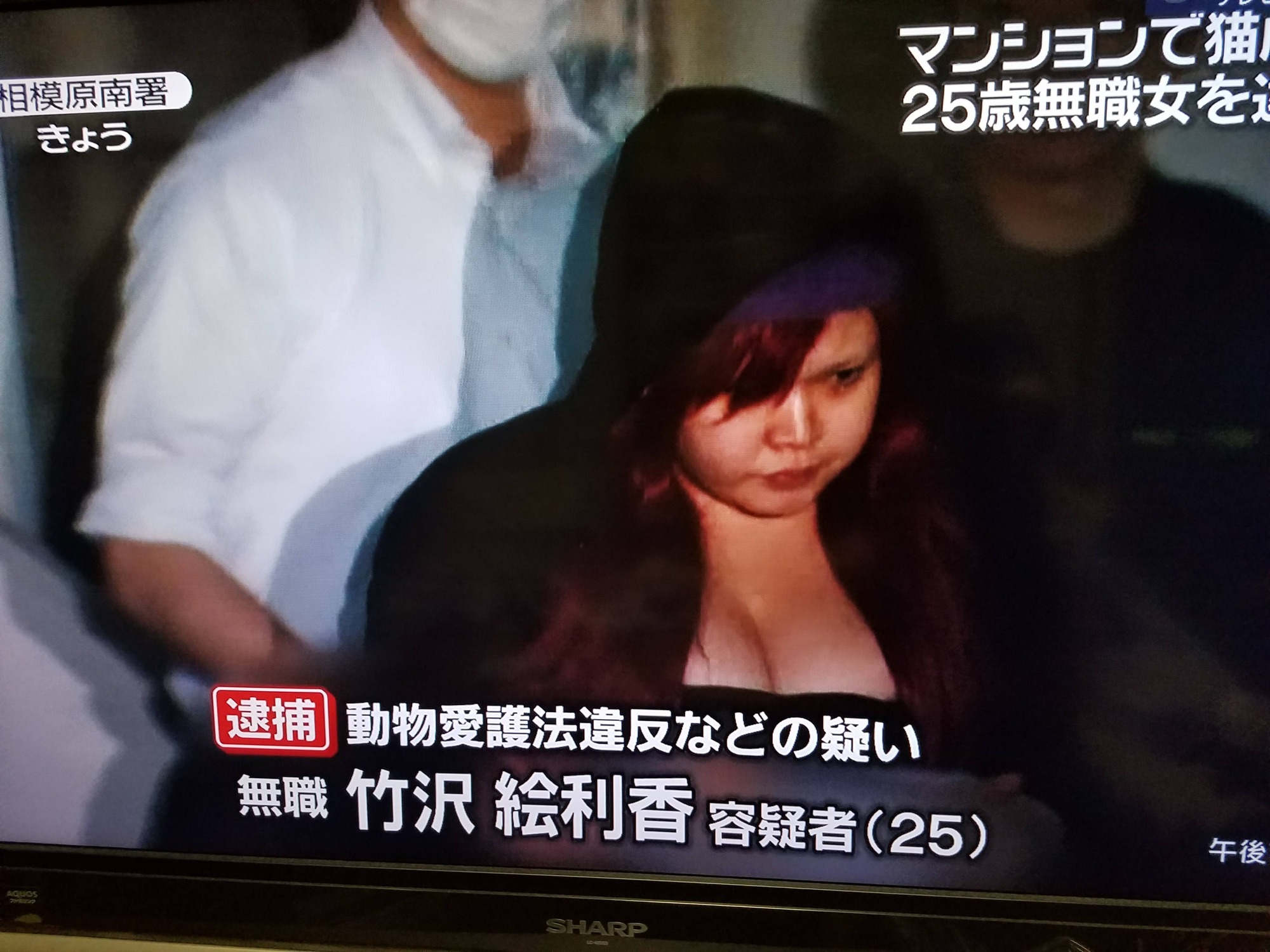 究極画像 猫虐待で逮捕された女さん 25 のご尊顔wwxwwxwwx Jのログ おんjまとめブログ
