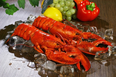 lobsters-1527602_960_720