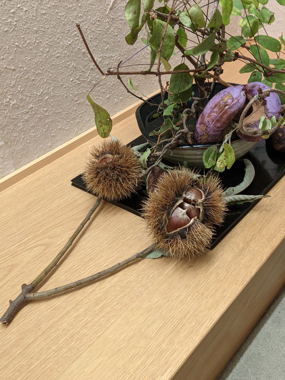 政夫さんは リンドウの花のような人だわ おもてなし係 山さんの徒然日記