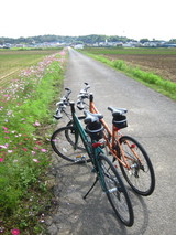 ��ɽ�����ƻ�桨�����⥹��ƻ