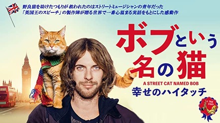 映画 longboarder s cafe 映画 longboarder s cafe