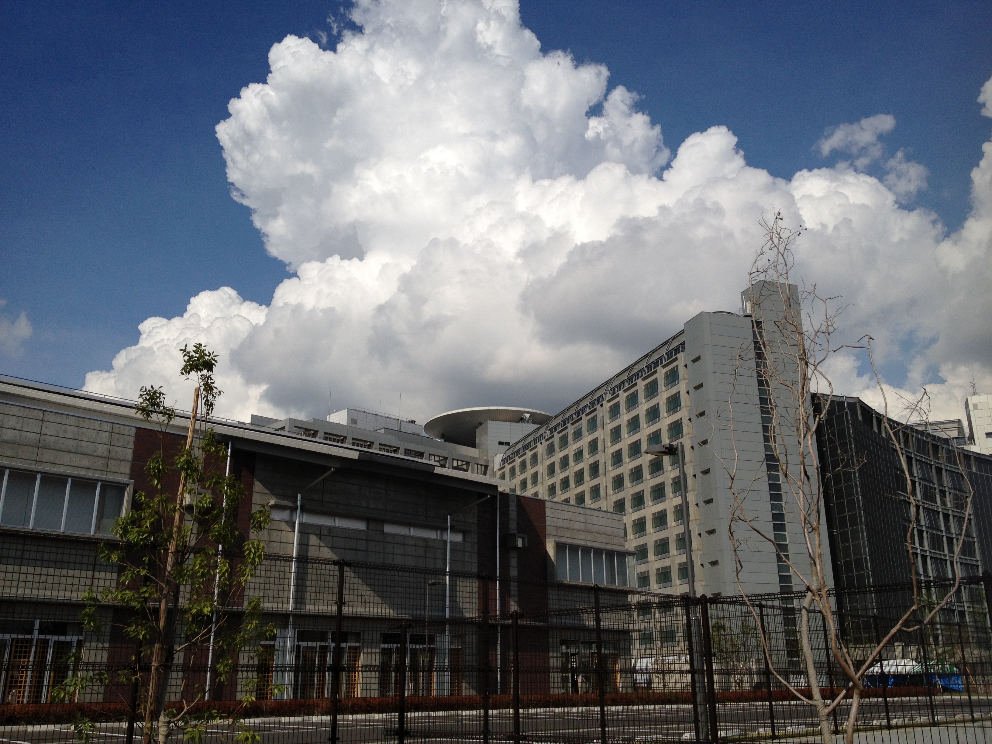 東京拘置所矯正展 まち とともに ２０１２年９月８日 S2noライブドア支所