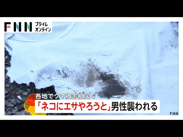 着ていた服は大きく破れ…70代男性、猫に餌をやろうとしている最中クマに襲われる　命に別条なし　猫は姿消す　弘前市