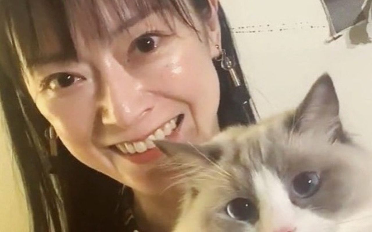 遠野なぎこさんの愛猫の無事が明らかに！