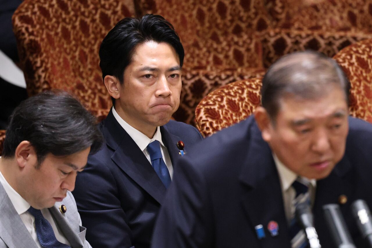 自民党が目玉候補として「おバカ女性タレント」擁立か