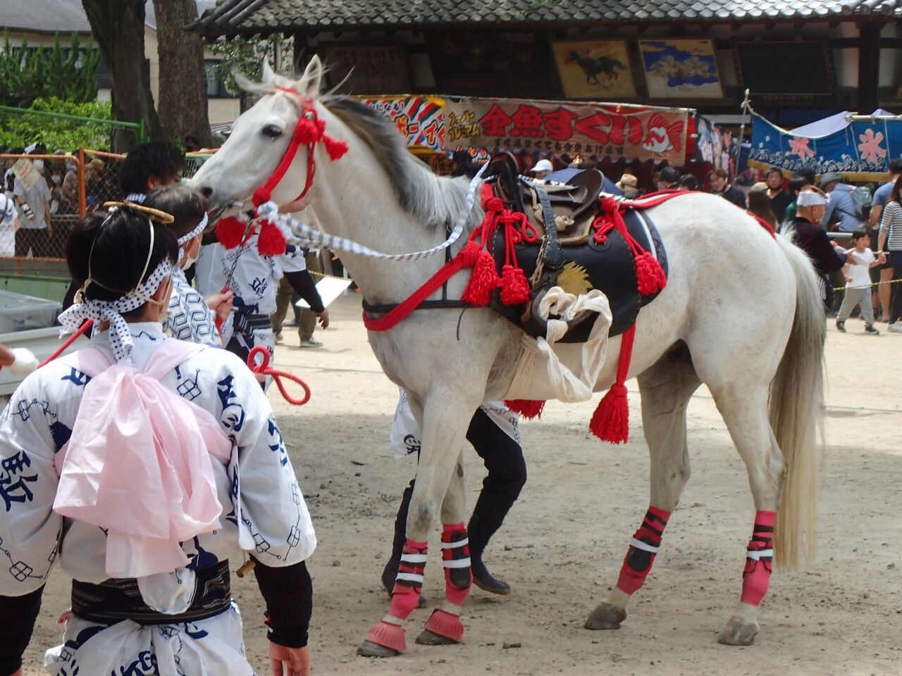 藤森神社で駈馬神事 : きのこ時々馬と鹿
